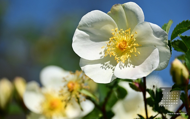 WP 04 2026 small