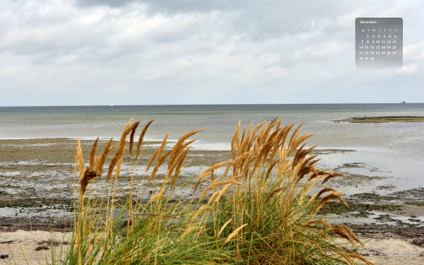 Baltic Sea beach near Laboe
